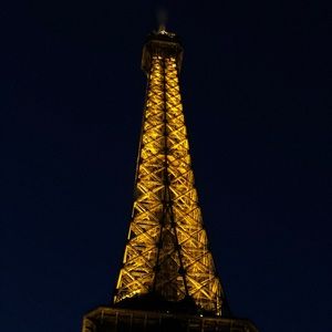 Everything and anything x